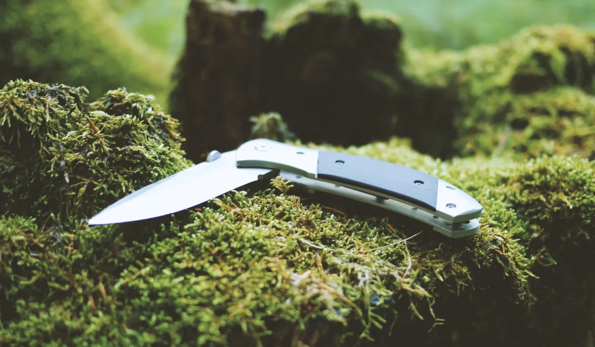 Knife Blade Shapes Unveiled-An Essential Guide to Choosing the Best