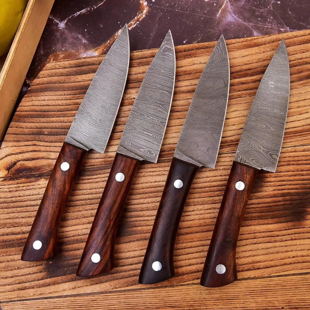 4 Piece Handmade Damascus Steel Kitchen Knife Set-Best Chef Knife Set in USA-HSKK-205  Himalayan steel