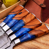 5-Piece Handmade Damascus Steel Chef Knife Set Kitchen Knives with Olive Wood and Resin Handles HSKK-203  Himalayan steel