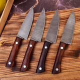 4 pieces Custom handmade twist Damascus steel paring chef knife set HSKK-205 - Himalayan steel